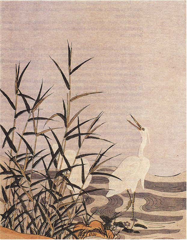 Herons and Reeds